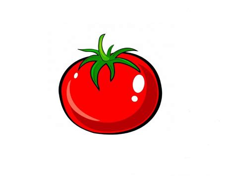 Drawings Of Tomatoes