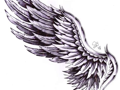 Drawings Of Wings For Tattoos