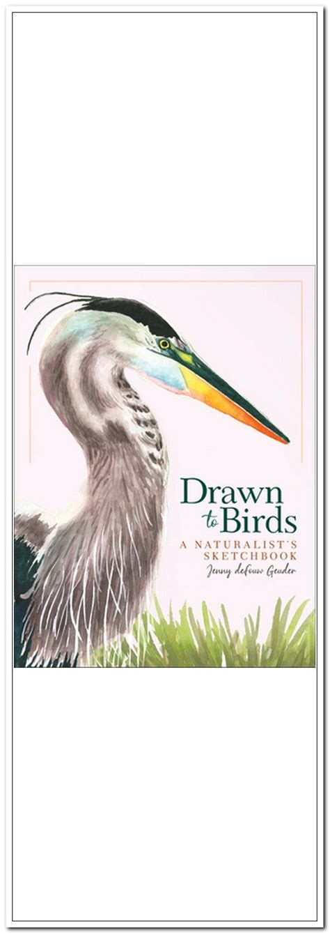 Drawn to Birds: A Naturalist