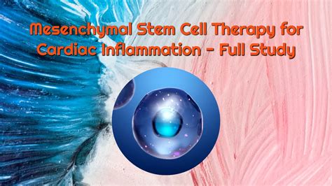 Dream Body Clinic - Mesenchymal Stem Cell Therapy and HGH