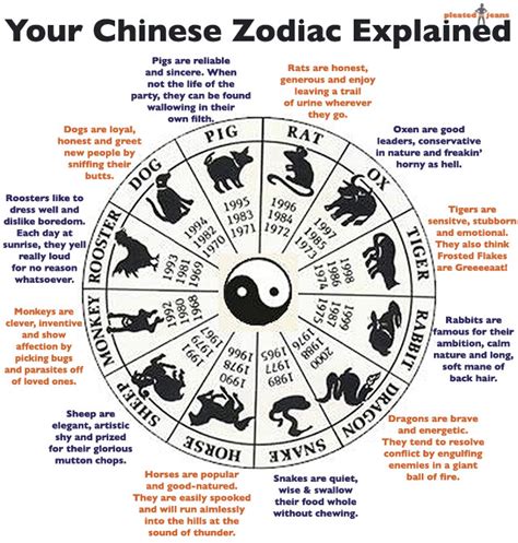 Dream about Wife Meanings - Your Chinese Astrology