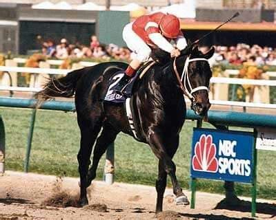 Dream of Capote Thoroughbred