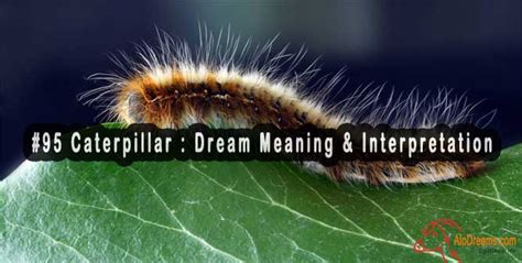 Dream of hairy caterpillar.  Also dream interpretation.  Explore how these dreams ref...