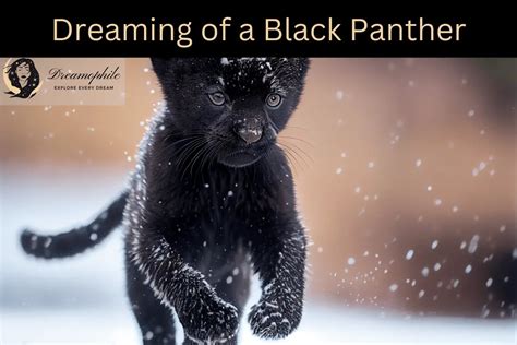 Dreams About The Black Panther - Meaning and …