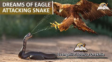 Dreams of EAGLE Attacking SNAKE - What Does It Mean Spiritually?