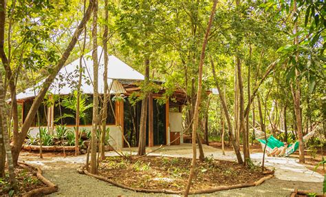 Dreamsea Surf Camp Costa Rica - Glamping, Surfing, & Yoga.