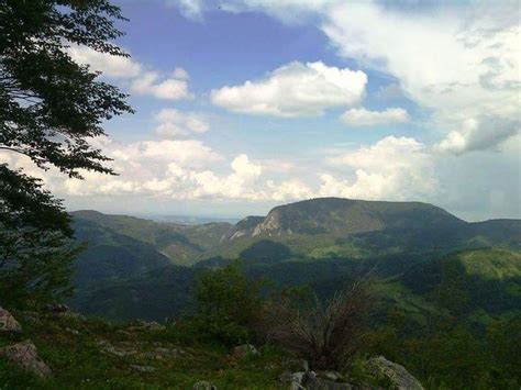 Drenajic, Serbia - GeoYP.com