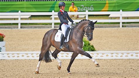 Dressage equine. Things To Know About Dressage equine. 