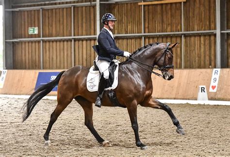 Dressage results: Sparsholt, 12 March 2024 - Out & About Dressage