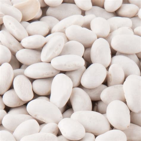 Dried Great Northern Beans - 20 lb.