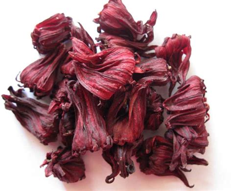 Dried Hibiscus Flower - Etsy