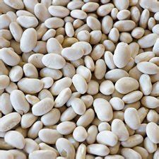 Dried Navy Small White Beans - 25 lb. - Amazon.com