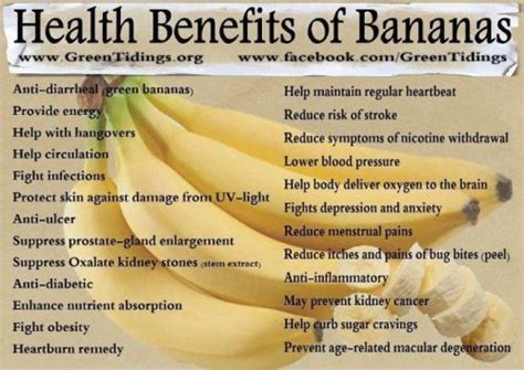 Dried bananas: benefits and harm to the body - inmydress.com