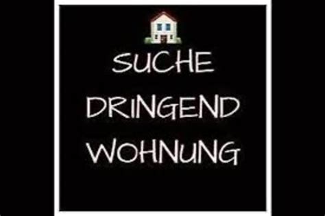 Dringend Job in Tierproduktion gesucht, alte Wohnung.