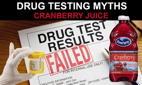 Drinking Cranberry Juice To Pass A Drug Test