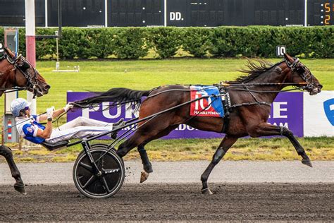 Driver Scott Zeron and trainer Nancy Takter win Hambletonian with Tactical Approach