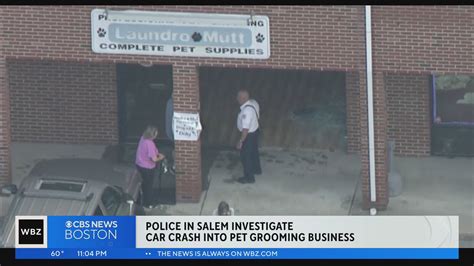 Driver explains what happened leading up to crash into Salem pet grooming business