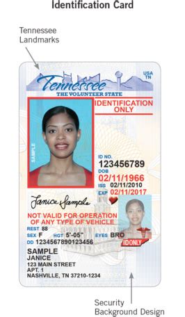 After being issued your first REAL ID compliant credential, you may renew online, use a Self-Service Kiosk or visit a County Clerk Office for renewal. If you already have a Tennessee driver's license or ID, go to: Full-service Driver Services Centers; Express Services Centers: Memphis: Bartlett Express Services Center. 