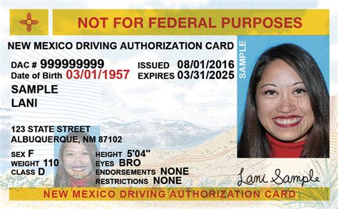 Drivers license nm. Address: 263C Robert H Bradley Dr, Alamogordo, NM 88310. Phone: 575-437-9226. Hours: M-F 8am-12pm and 1-4pm. Groups: CDL Test and License Field Offices. Latest News. MVD to launch new self-service kiosks ... New entry-level commercial driver’s license regulations. Vendor reissuing some driver’s licenses. MVD opens new self … 