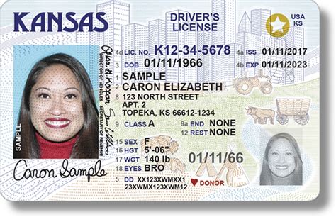 A person’s driver’s license number is printed on his driver’s license. The exact location of the number on the driver’s license varies depending on the state in which the license is issued.. 