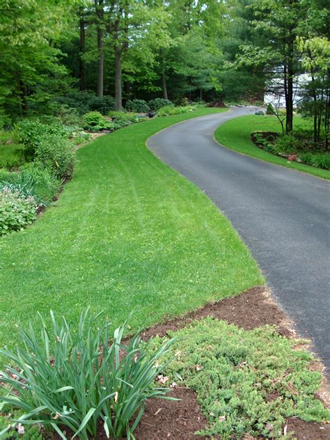 Driveway border landscaping ideas. 7 – Plant Low-Growing Shrubs. Low-growing shrubs and ground covers are great driveway border landscaping ideas for creating a lush, green landscape. They will help to define the driveway’s edge while also providing a visual barrier between your driveway and the surrounding area. 