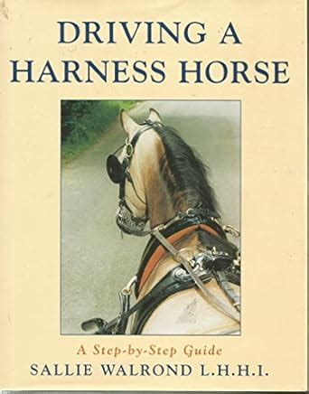 Driving A Harness Horse A Step By Step Guide