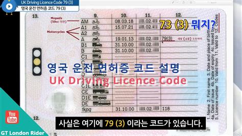 Driving licence code 79 3 01 meaning.  Converted it in the UK license in 2019...