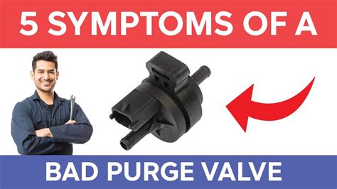 Driving with bad purge valve symptoms.  I know these issues have been stat...
