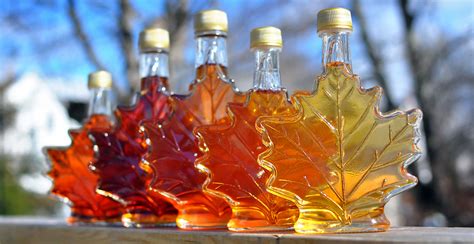 Drop in Canadian maple syrup production not expected to affect access