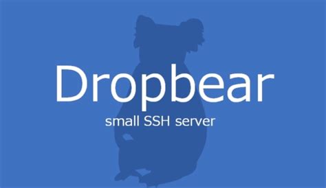 Dropbear ssh vulnerability. 59 with GSSAPI leaks whether given username is ...