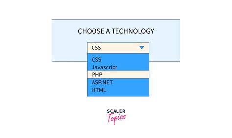 Dropdown List HTML Basix