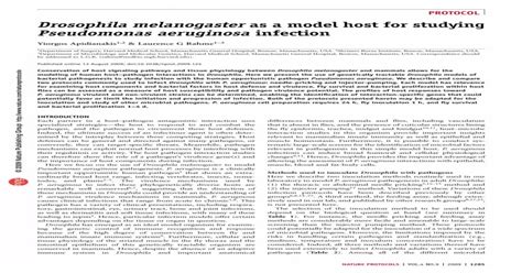 Drosophila melanogaster as a model host for studying …