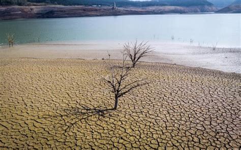 Drought in Spain’s northeast empties reservoirs