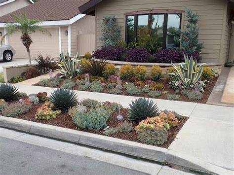 Drought tolerant landscaping. Design ideas for a mid-sized modern drought-tolerant and partial sun front yard concrete paver landscaping in Los Angeles for summer. Save Photo. Lafayette 2. Envision Landscape Studio. Photo of a large modern drought-tolerant and full sun hillside gravel retaining wall landscape in San Francisco. Save Photo. 