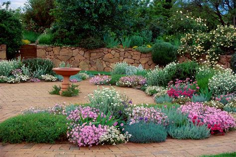 Drought-Tolerant and Drought-Resistant Grass Alternatives - Lawn …