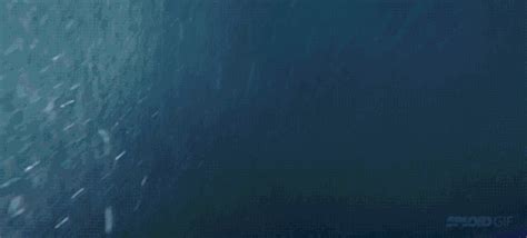 Drowning GIF - Find on GIFER