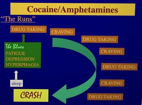 Drug Use and Abuse Chapter 1 Flashcards Quizlet