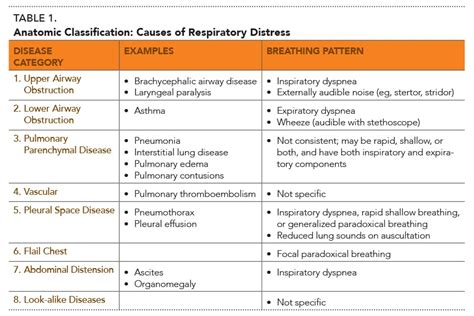 Drugs Used to Treat Lung and Airway Disorders - Special Pet Topics