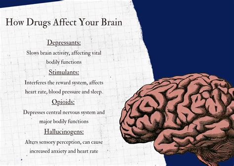 Drugs that slow brain and body activities are called - Questions LLC