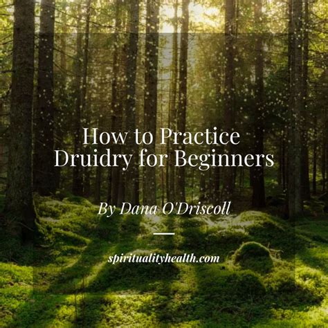 Druidry for Beginners Spirituality+Health