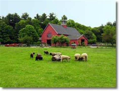 Drumlin farm. Drumlin Farm Wildlife Sanctuary is just the sort of place where that is possible. This working farm has more than 230 acres that include hiking trails, a garden, farm animals, and more to see and ... 