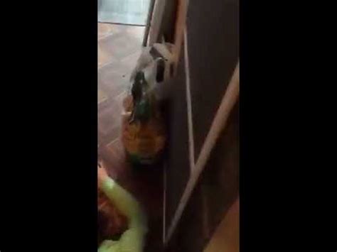 🔥 [CLIP] Drunk Periscope Girl Leaked