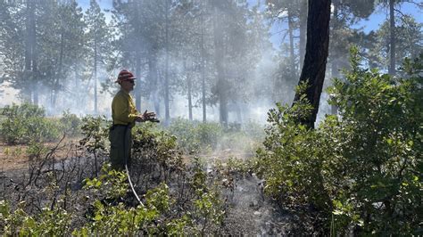 Dry Lake fire burning on 1,372 acres of national forest land in southwestern Colorado