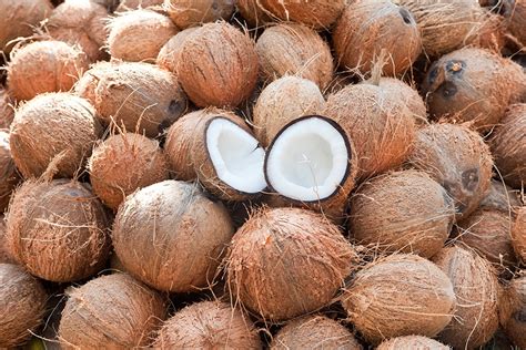 Dry coconut. There are three different types of coconuts: tall coconuts (typica), dwarf coconuts (nana) and hybrid coconuts. The hybrid coconut is bred by intentional cross-pollination of both ... 