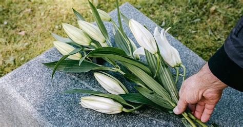 Dryden obituaries archives.  View most recent obituaries published on t...