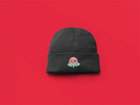 Dsa beanie.  Purchased item:&nbsp DSA Dad Hat / Democratic Socialists of America / Progressiv...