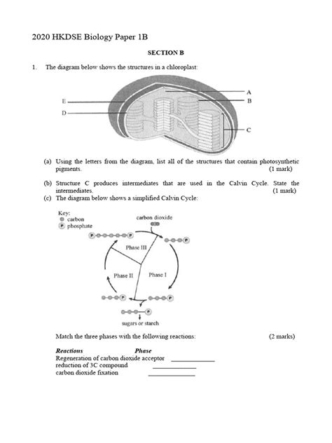 Dse biology 2020 answer.  3.  The document provides the suggested solutions to t...