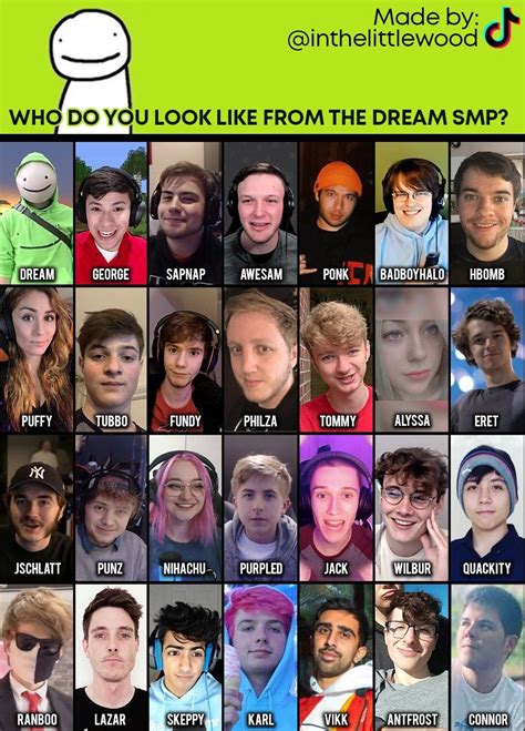 Dsmp members faces. May 15, 2023 · DSMP (Image via Ph1LzA on Twitter) The Minecraft Dream Survival-Multiplayer has opened its doors to many different guests, other than the server's members.The server's commitment to fostering a ... 