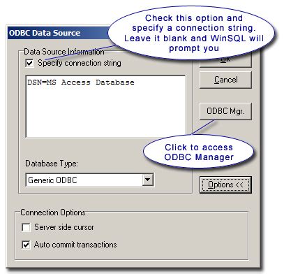 Dsn connection string odbc.  A DSN connection string tells the driver where to find the de...