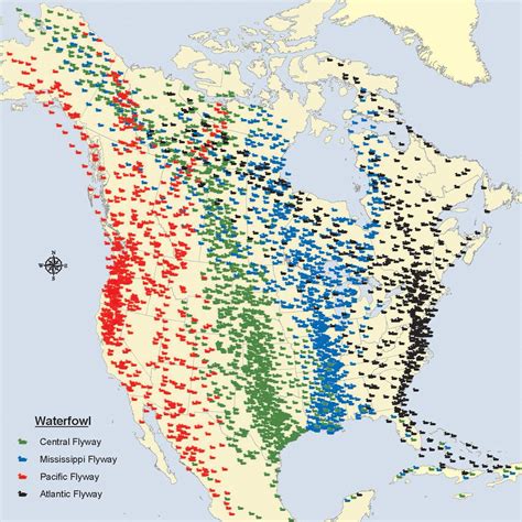 Du migration report. Ducks Unlimited has identified the Platte River and the Rainwater Basin as a conservation priority because of the system's enormous importance to migrating waterfowl and shorebirds. The Rainwater Basin host 5 to 10 million waterfowl and millions more shorebirds each spring. Ninety percent of the mid-continent's white-fronted goose population ... 